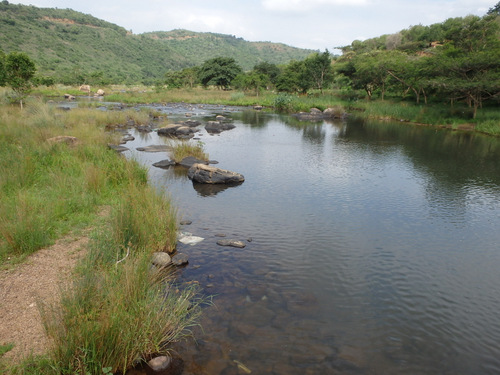 A view downstream (west).